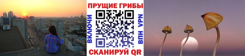 Псилоцибиновые грибы Magic Shrooms  где найти   MEGA ссылки  Цивильск 